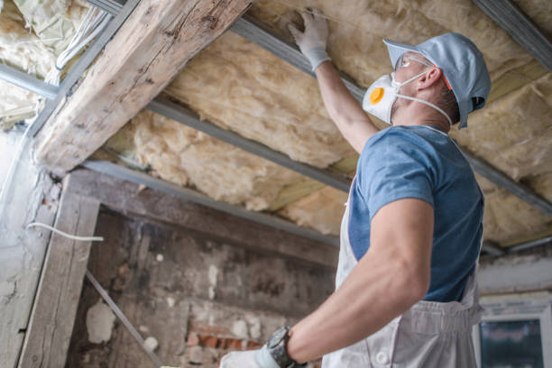 Best Insulation Maintenance and Repair in White Sands, NM